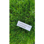Landscaper Pro - Supreme travno seme - slika 2