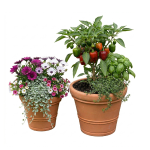 Plastični terakota lonec - slika 4