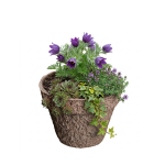 ALPA LONEC 3 L - slika 3