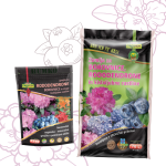 Borovnica & rododendron paket