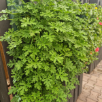 Sadilna vreča 8 lukenj - slika 3