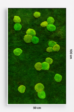 Mahovna stena - slika 5