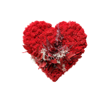 Srček za najdražje - prepariran mah