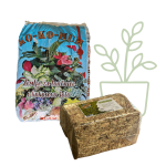 Paket za sobne rastline